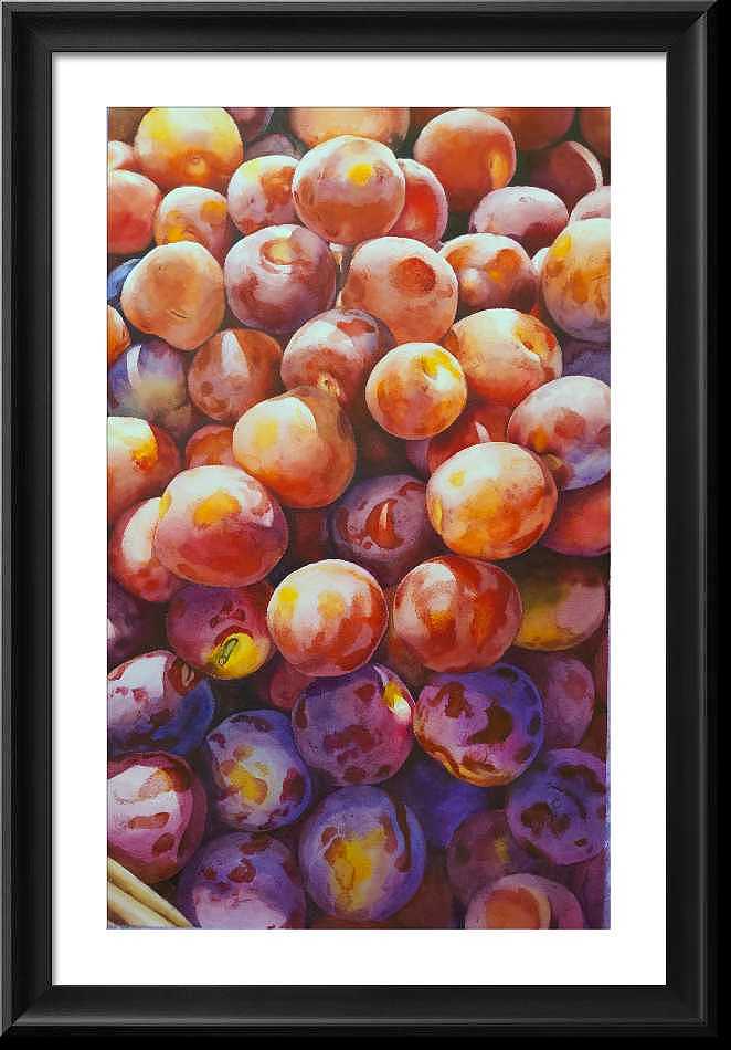 李子|纯艺术|绘画|江书灵_原创作品-站酷zcool