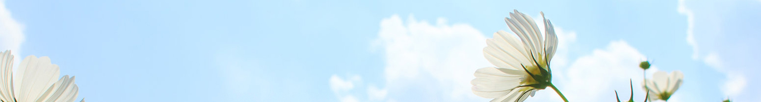 不要跟我同名629的個(gè)人主頁(yè)（封面預(yù)覽） - 主頁(yè)封面設(shè)置 - 站酷設(shè)計(jì)師不要跟我同名629原創(chuàng)素材 - 站酷ZCOOL