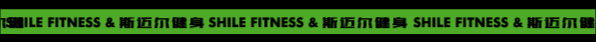 SHILE 斯迈尔健身品牌设计/运动VI设计（图ZMjU1NjEyMjU2） - 品牌 - 站酷设计师一两米饭啊原创素材 - 站酷ZCOOL
