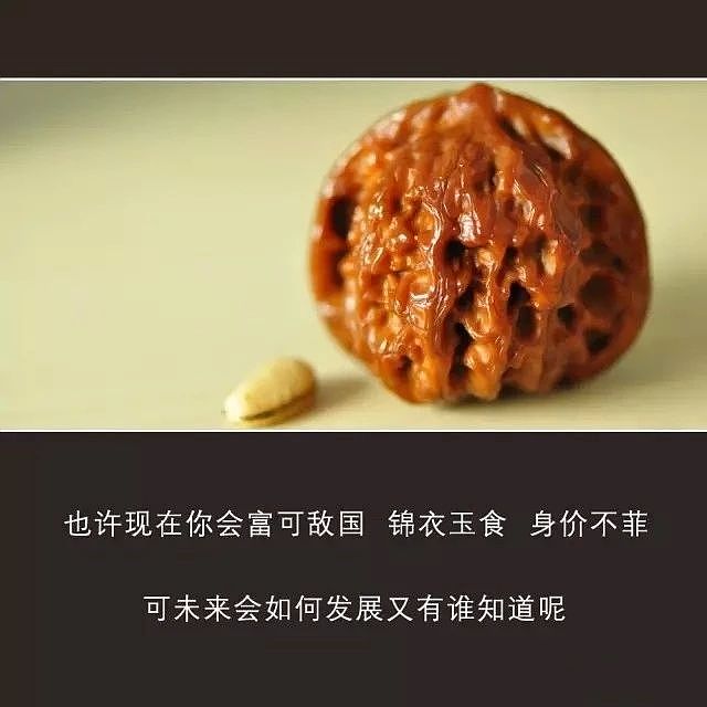微摄影（图ZMzIxNjQzNDE2） - 图案 - 站酷设计师天狼大财主原创素材 - 站酷ZCOOL