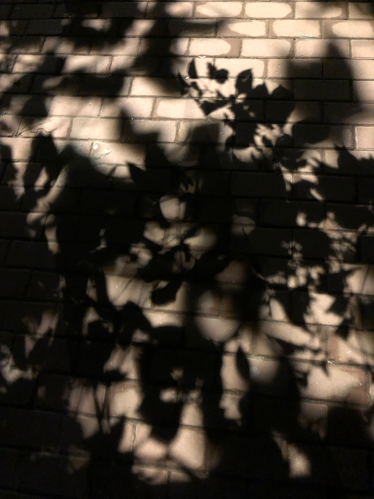 街头摄影-上海合集