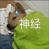 没事儿真没事儿的头像