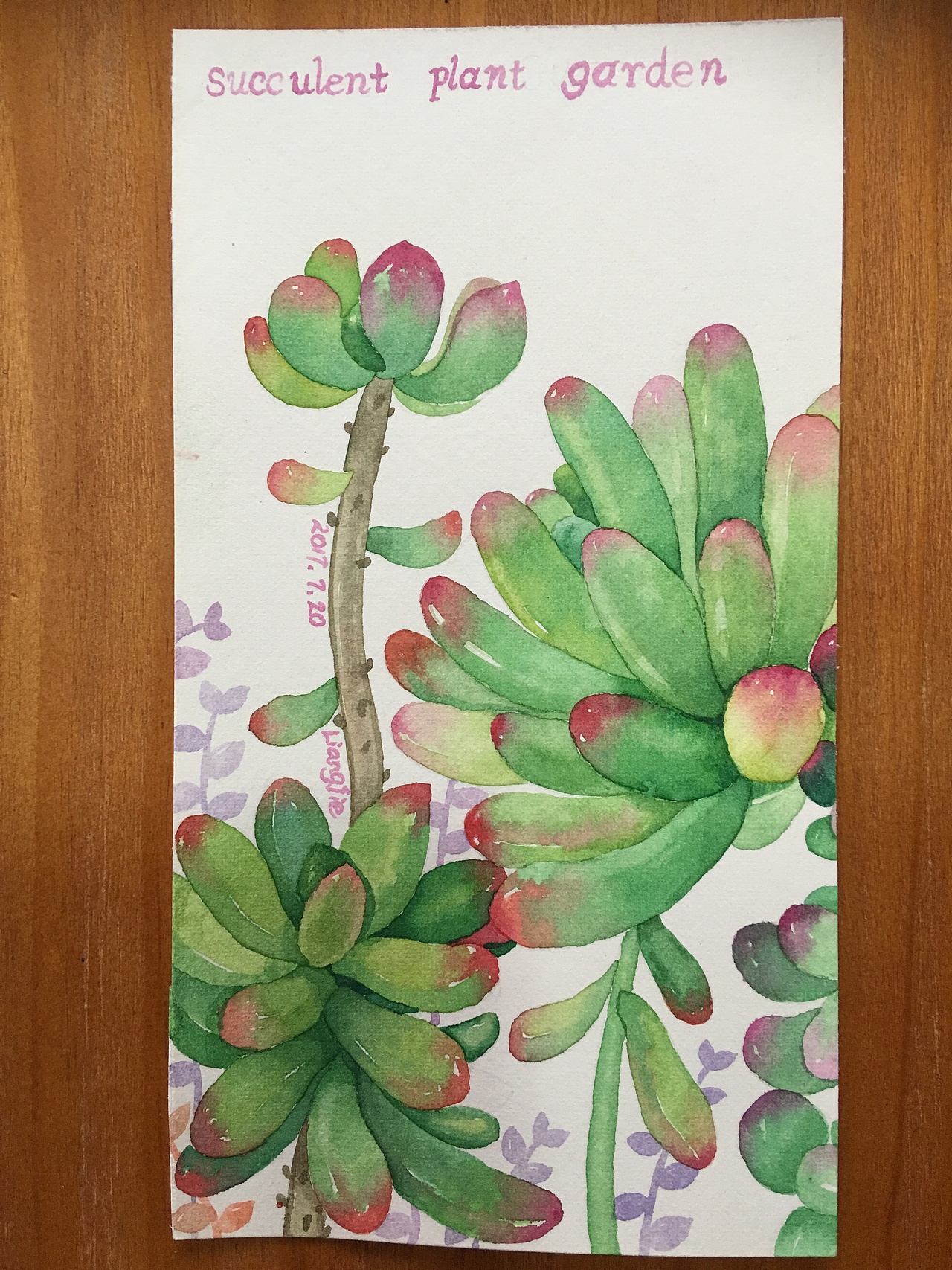 可爱的多肉肉（图ZMTU4MzU0MjIw） - 绘画 - 站酷设计师慧画社原创素材 - 站酷ZCOOL