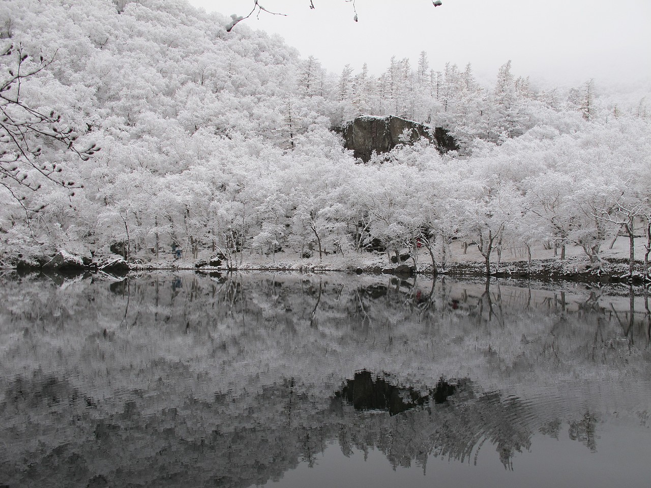 摄影（图ZMTcxODg0Mjgw） - 风光摄影 - 站酷设计师夏目0701原创素材 - 站酷ZCOOL
