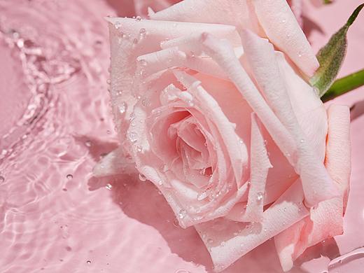 餐飲奶茶（個人主頁-ZNTUwMDgxMjg=） - 美食攝影 - 站酷設(shè)計師無視覺原創(chuàng)素材 - 站酷ZCOOL