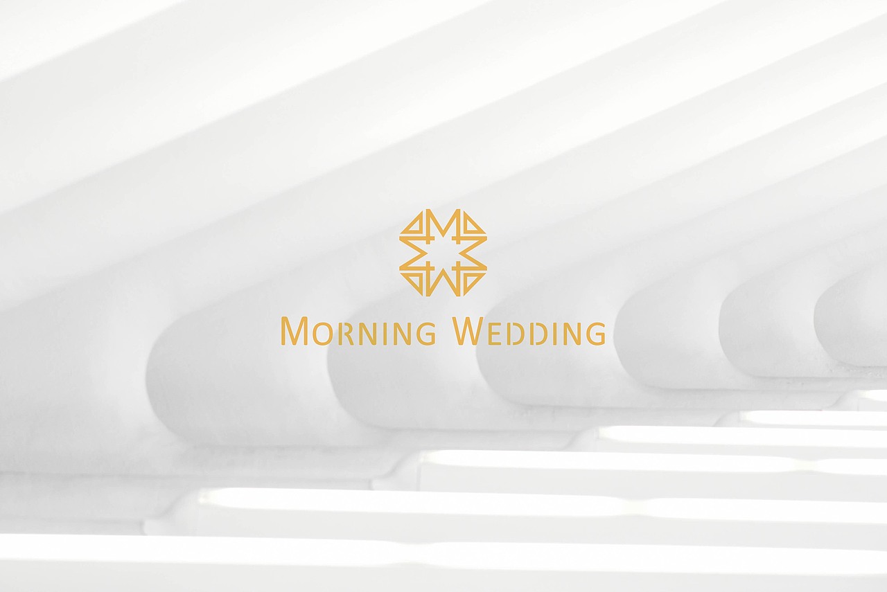 原创婚纱logo设计