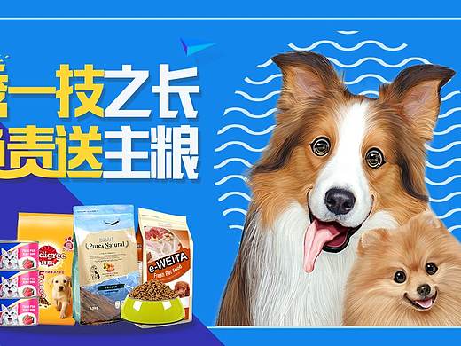 宠物