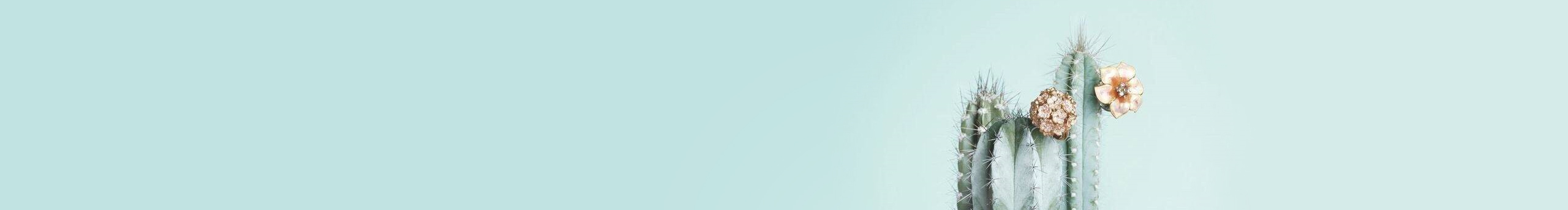 文質(zhì)瓊心的個人主頁（封面預(yù)覽） - 主頁封面設(shè)置 - 站酷設(shè)計(jì)師文質(zhì)瓊心原創(chuàng)素材 - 站酷ZCOOL