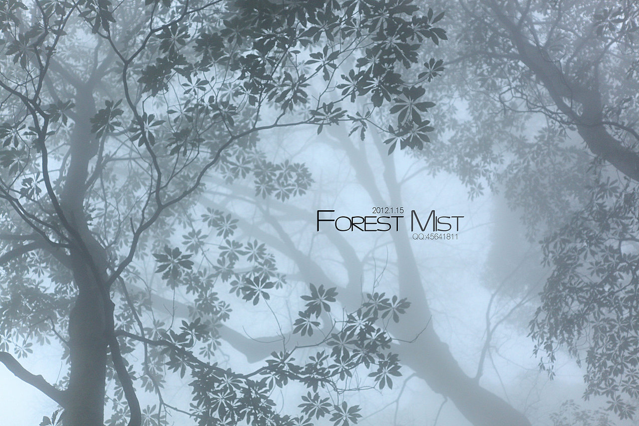 迷雾森林Forest Mist（图ZNDgyMDIwMA==） - 风光摄影 - 站酷设计师easycdad原创素材 - 站酷ZCOOL