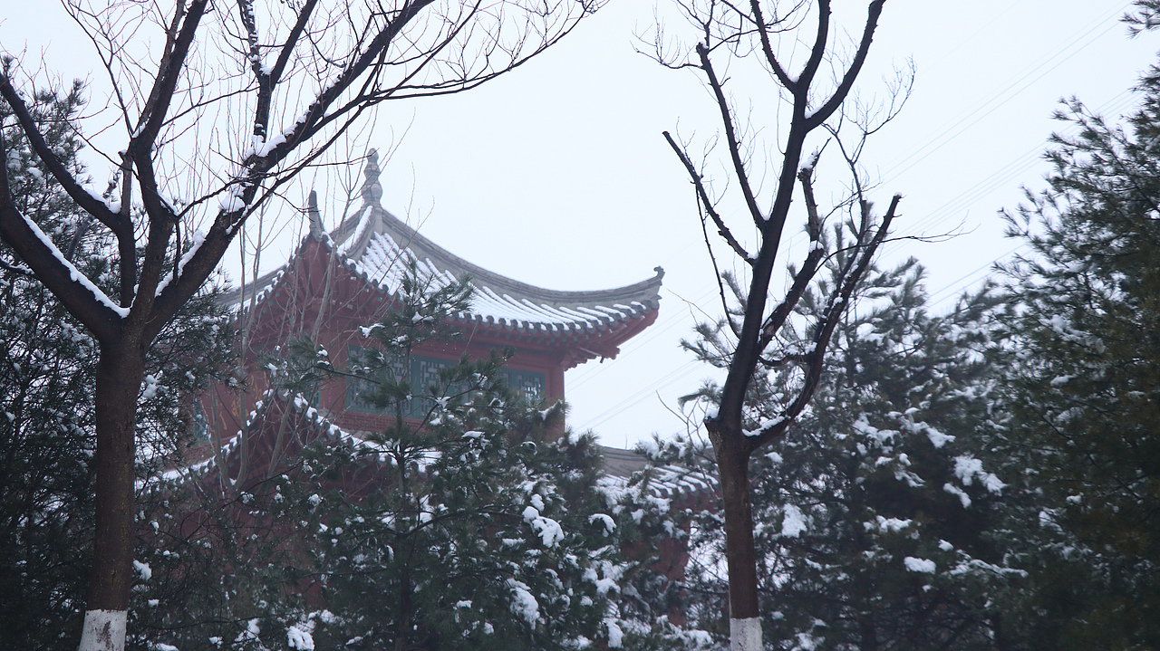 练习拍摄雪景（图ZMTkwNTMyODQw） - 环境/建筑摄影 - 站酷设计师聆东先生原创素材 - 站酷ZCOOL