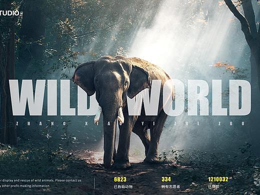 野生世界-WILD WORLD 一屏式专题网站