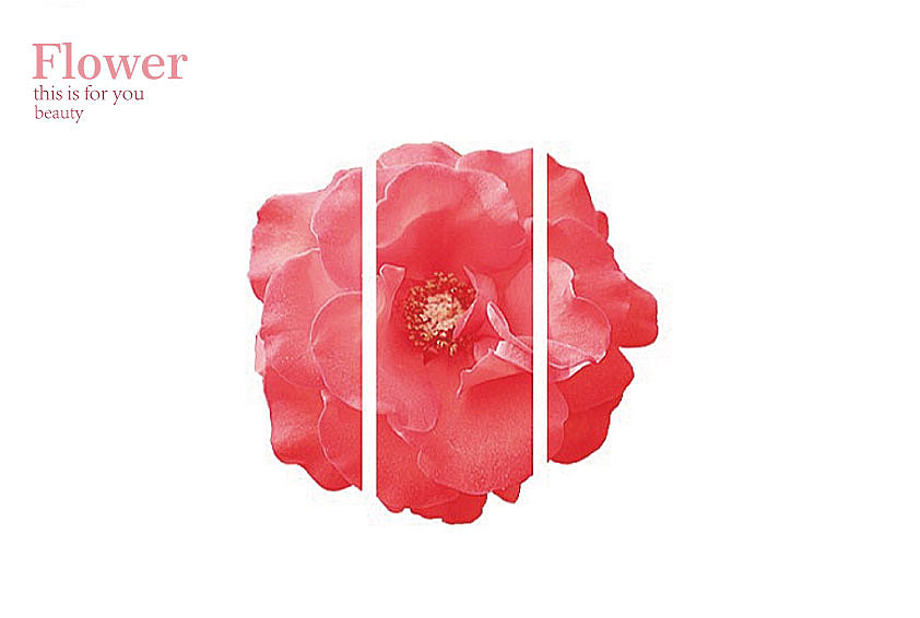 图案文字结合海报排版（图ZOTI5MzU4MzI=） - 海报 - 站酷设计师路漫长起步原创素材 - 站酷ZCOOL