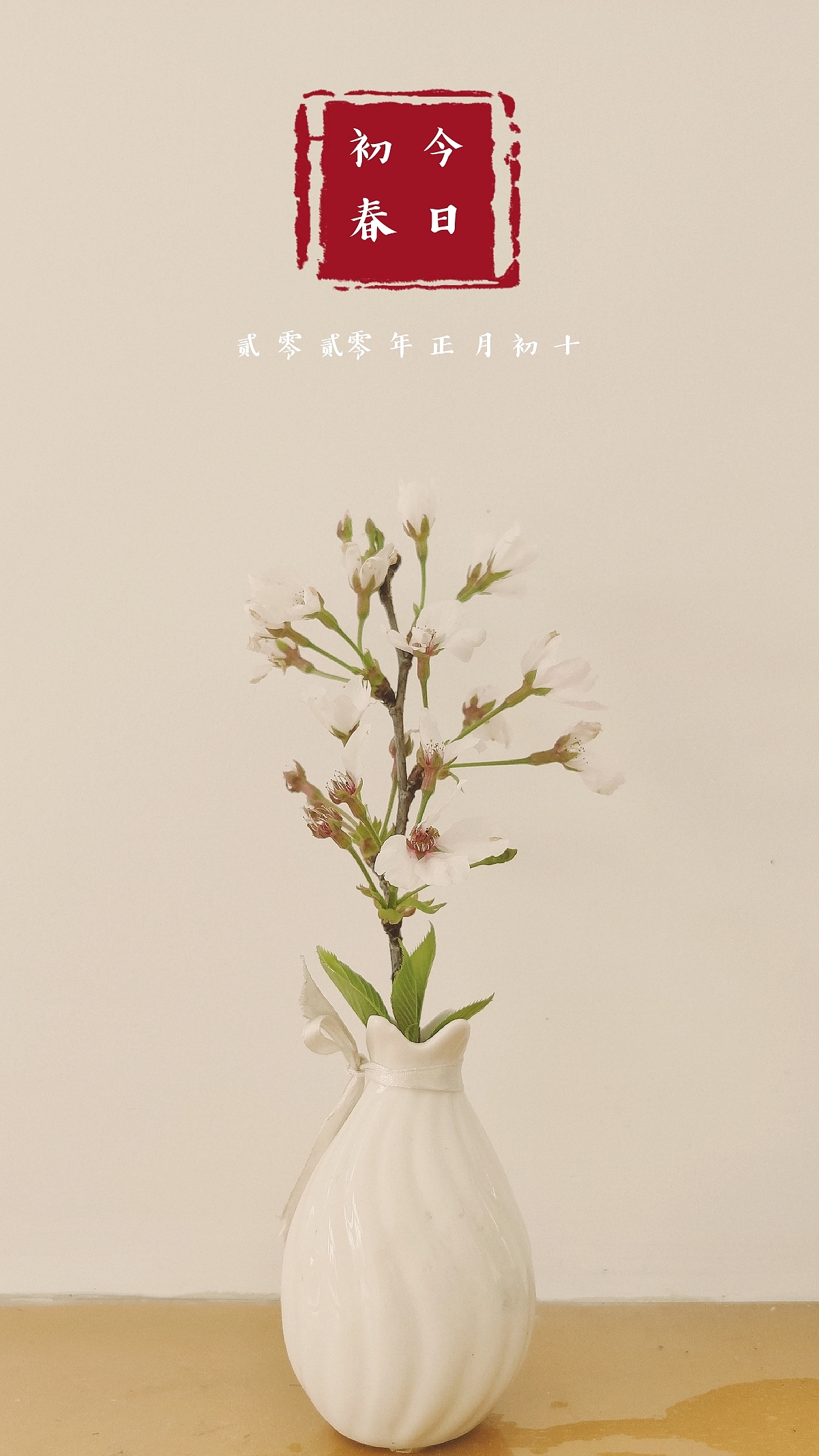 一枝桃花在我家