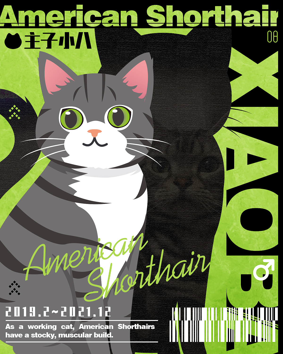 布偶姐姐和美短弟弟-AI简单插画和基础排版小练习