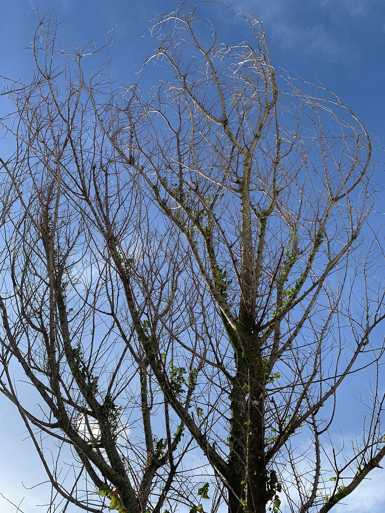 清晨看不到日出的海邊（圖ZMjcyNzYwNzIw） - 風(fēng)光攝影 - 站酷設(shè)計(jì)師戈塔原創(chuàng)素材 - 站酷ZCOOL