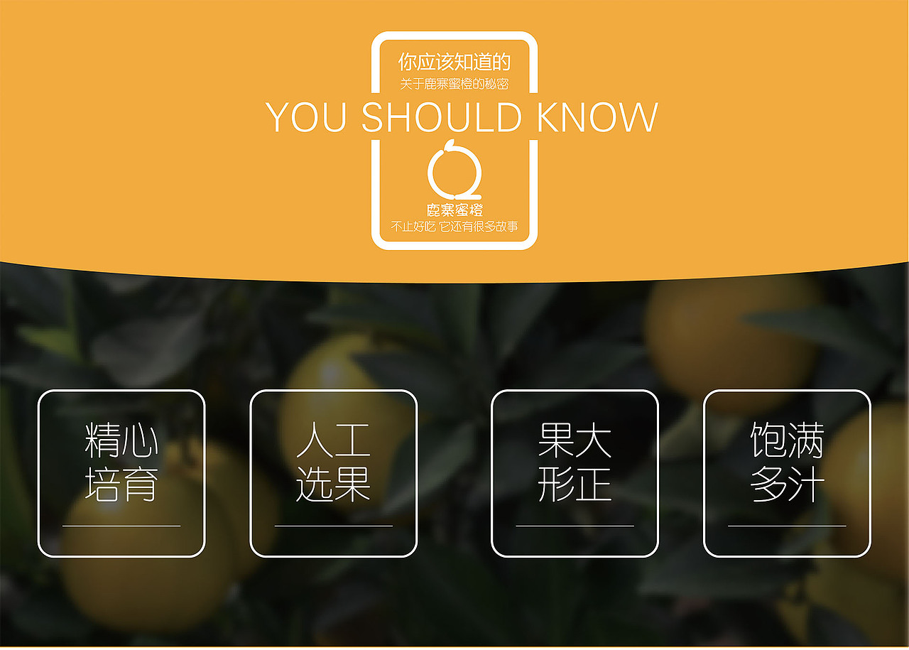 鹿寨蜜橙
