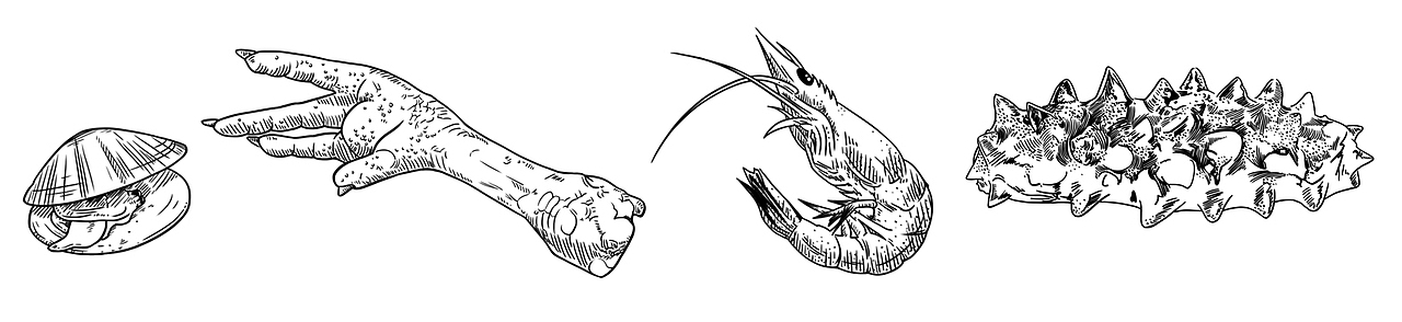 真能扒虾（鸭货 辣货产品插画）（图ZMTI3ODQ3OTg4） - 商业插画 - 站酷设计师犀利小葱聪原创素材 - 站酷ZCOOL