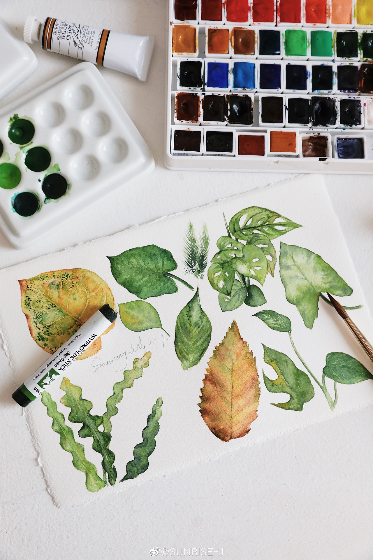 水彩植物 夏天的颜色（图ZMTc1MDU2MTIw） - 商业插画 - 站酷设计师文静手绘原创素材 - 站酷ZCOOL