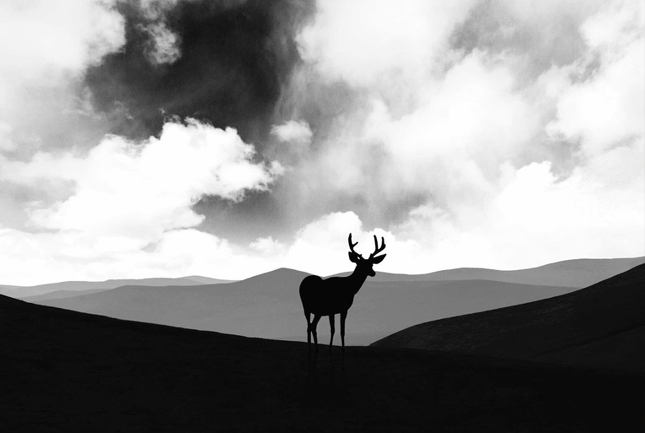 My ideal home is to see deer when the tree is deep, whales when the sea is deep, and see you when you wake up.