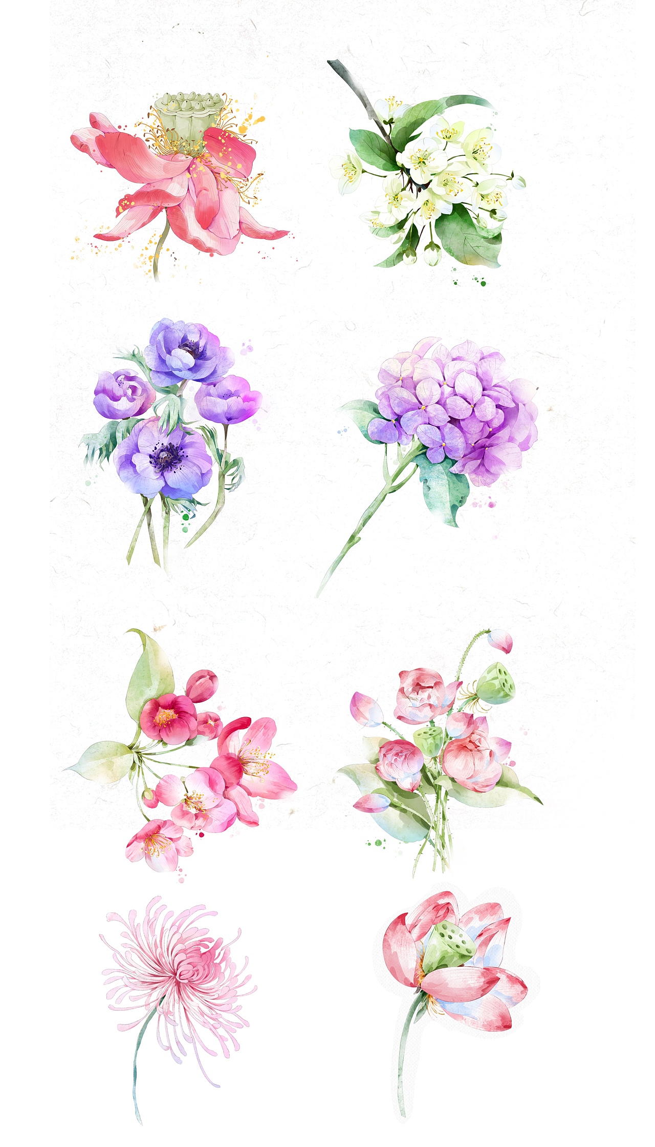 水彩花卉合集（图ZMzgwODI5MDYw） - 创作习作 - 站酷设计师一把蒜原创素材 - 站酷ZCOOL