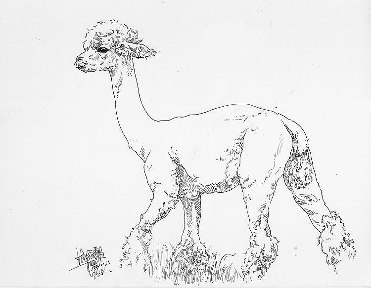 猫猫狗狗马马 ……小集（图ZOTg5NjA3NDA=） - 绘画 - 站酷设计师DX_IDO原创素材 - 站酷ZCOOL