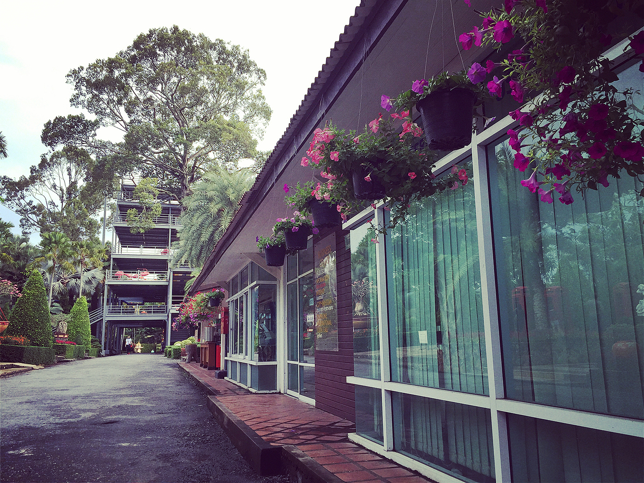 随手拍（图ZMzM3NjA0NjQ=） - 风光摄影 - 站酷设计师彭美小原创素材 - 站酷ZCOOL