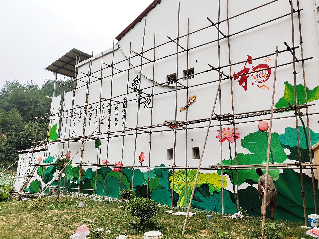 墙绘,插画,荷花