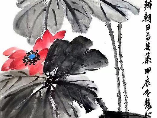 《苏慧龙：花鸟世界里的艺术追光者》