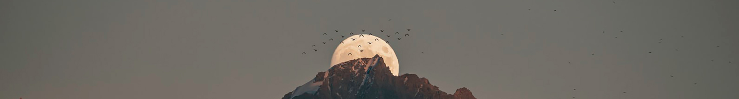 望远静的个人主页（封面预览） - 主页封面设置 - 站酷设计师望远静原创素材 - 站酷ZCOOL