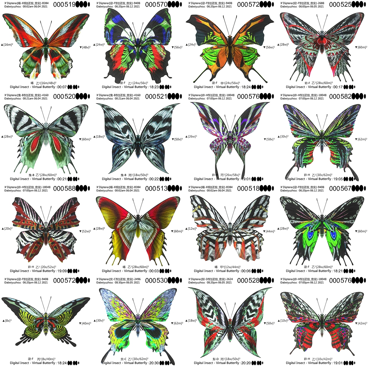 用互联之网捕捉虚拟蝴蝶