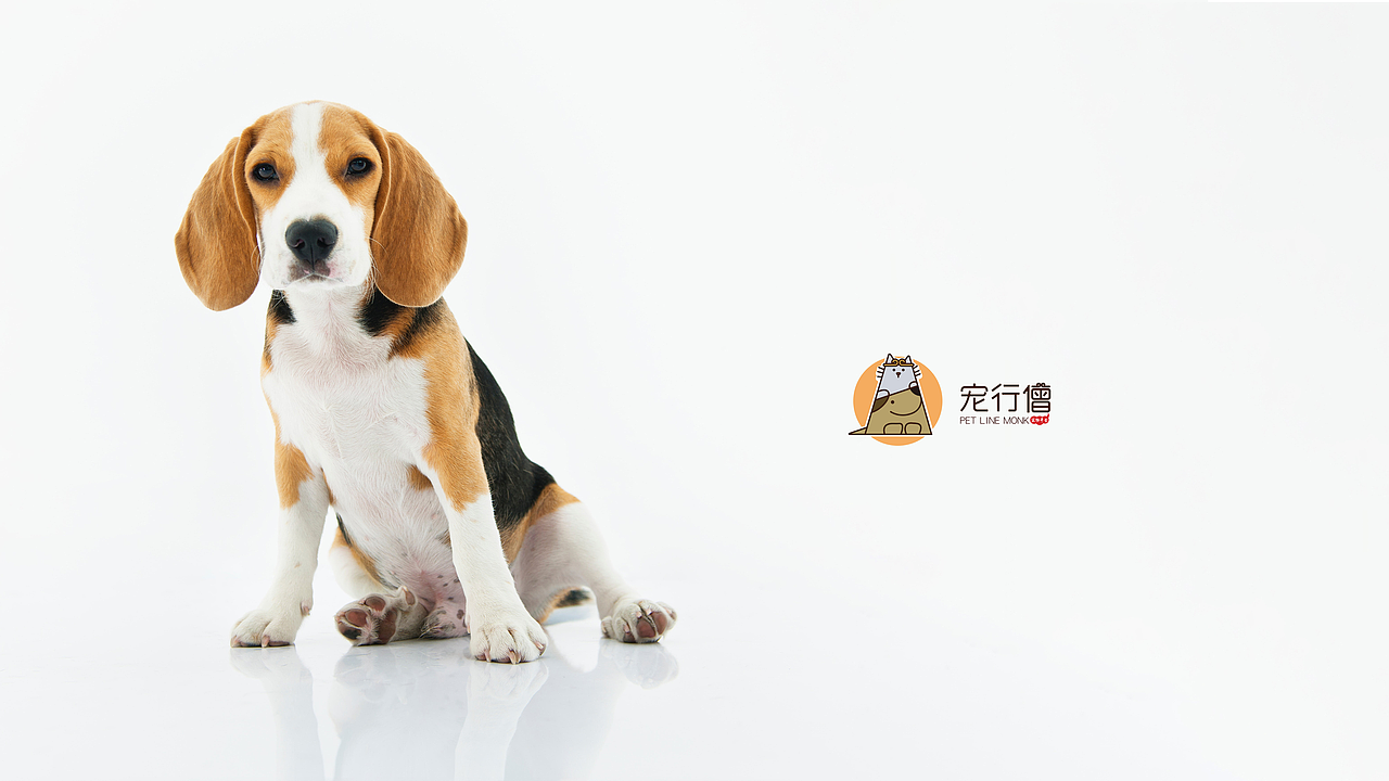 宠物卡通logo宠行僧