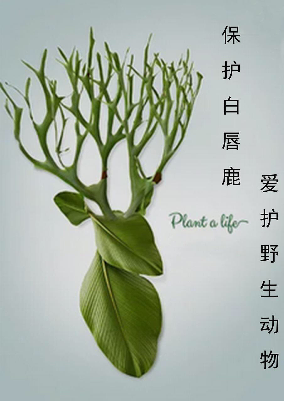 保護(hù)野生動(dòng)物（圖ZMzIwNTk1NTc2） - 海報(bào) - 站酷設(shè)計(jì)師月曜日叢原創(chuàng)素材 - 站酷ZCOOL