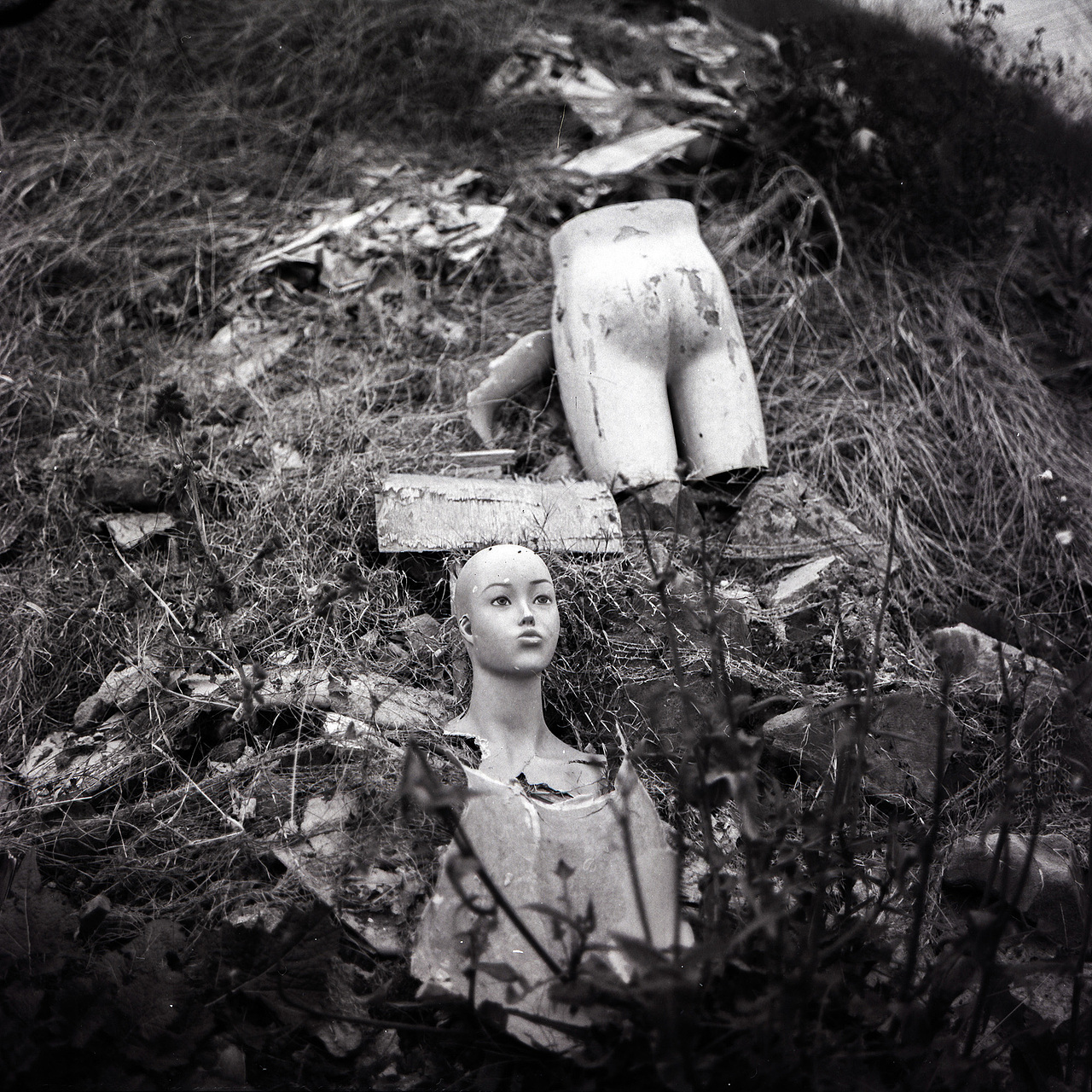 勃朗尼卡ec上海gp3初体验