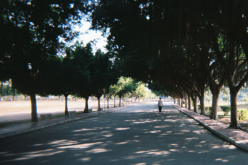 There Goes My Film - 胶片摄影半年总结（图ZMTQ4Nzg2OTY=） - 其他摄影 - 站酷设计师AlexNin原创素材 - 站酷ZCOOL