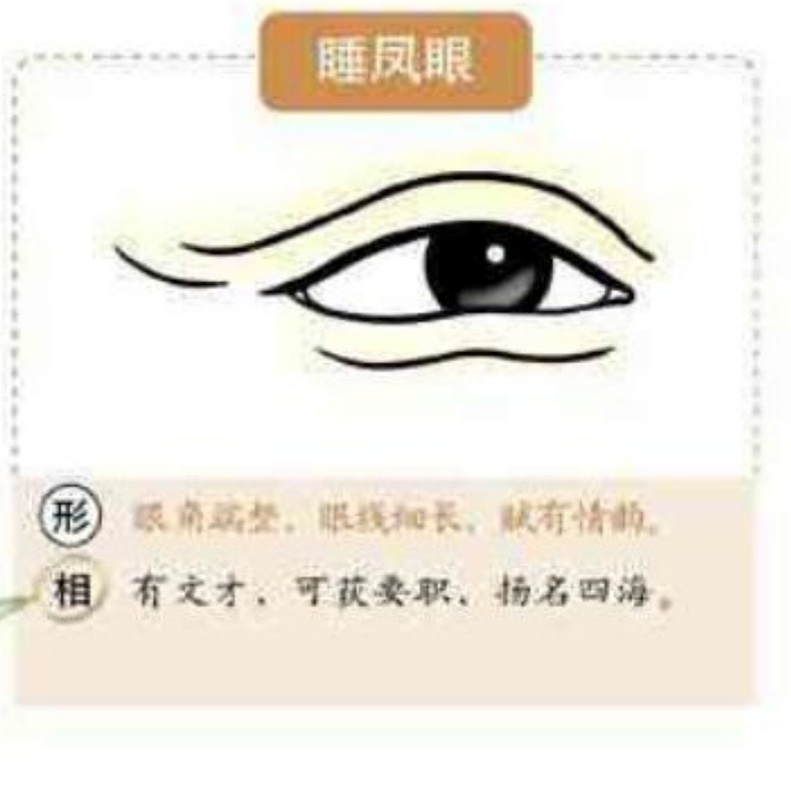 麻衣神相中眼型