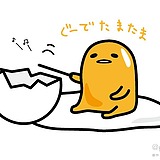 放风筝的人01的头像