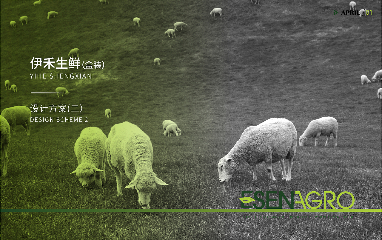 伊禾生鲜包装提案