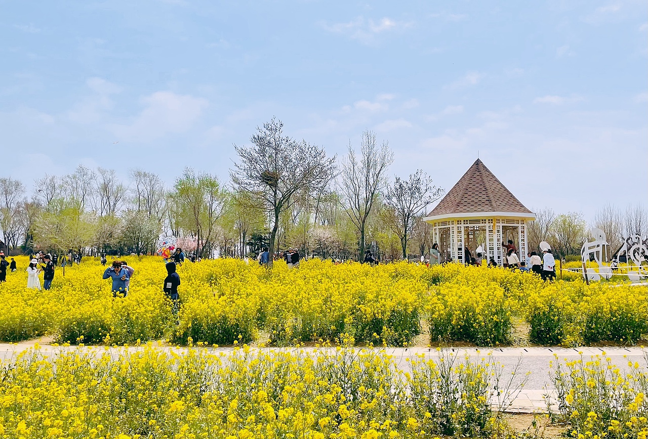 春·尾（图ZMjk3NjE3NzQw） - 风光摄影 - 站酷设计师设计狮摄影狮原创素材 - 站酷ZCOOL