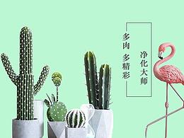 肉肉故事集之BANNER