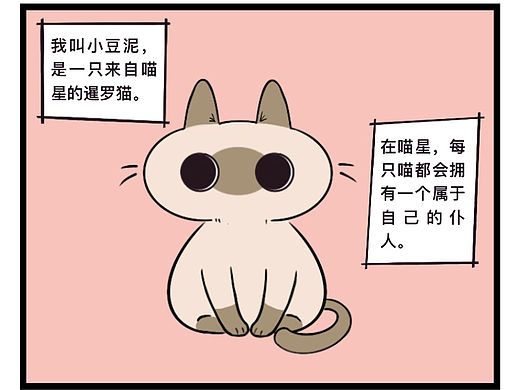 我叫小豆泥