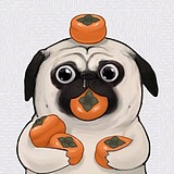 南知玉的头像