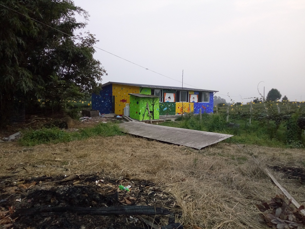 新农村墙绘,乡村文化墙,社区墙绘,社区文化墙