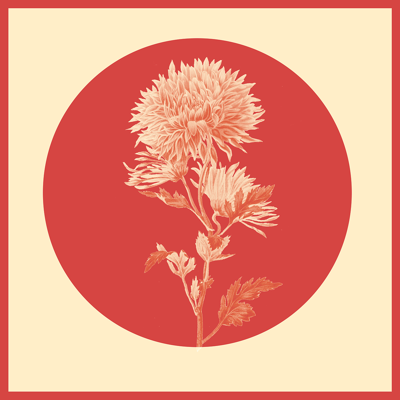 《 FLOWEING BOOK 》（图ZNjAzOTkzNjA=） - 品牌 - 站酷设计师I玲珑骰子I原创素材 - 站酷ZCOOL