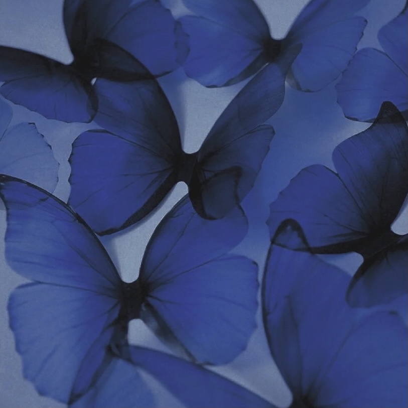 望远静的个人主页（背景预览） - 主页背景设置 - 站酷设计师望远静原创素材 - 站酷ZCOOL