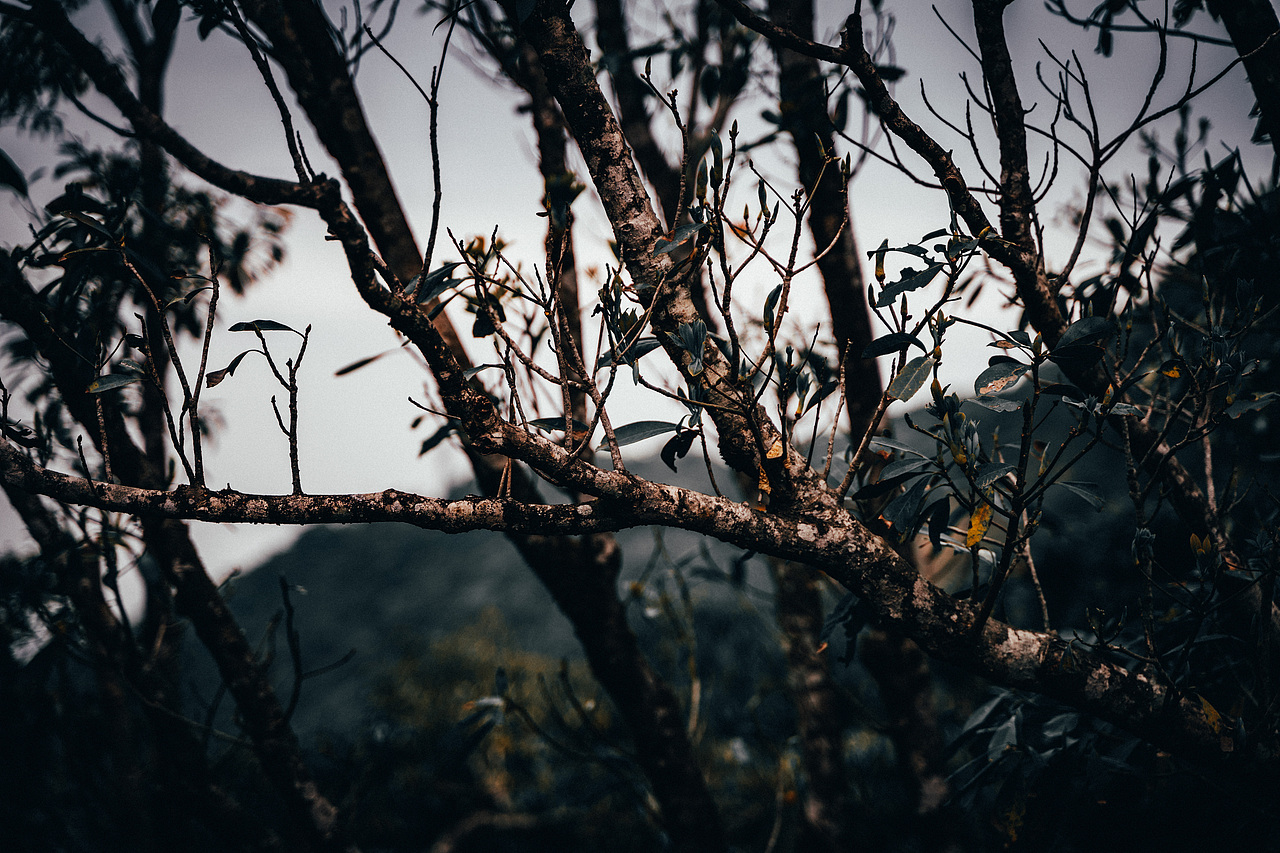 自己的路,自己欣赏。