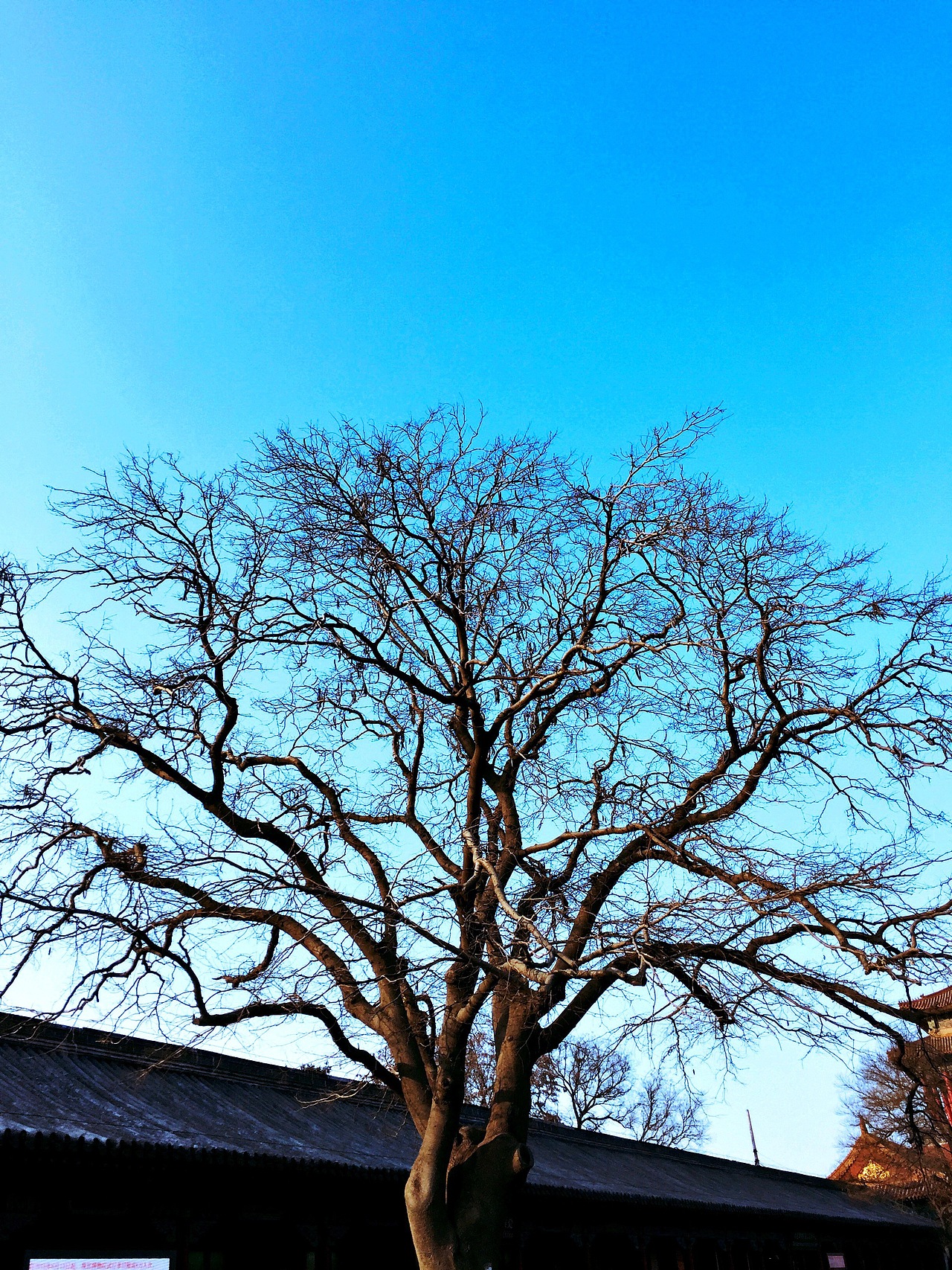 壹月 故宫（图ZNjk4NzIyODA=） - 风光摄影 - 站酷设计师芋圆同学原创素材 - 站酷ZCOOL