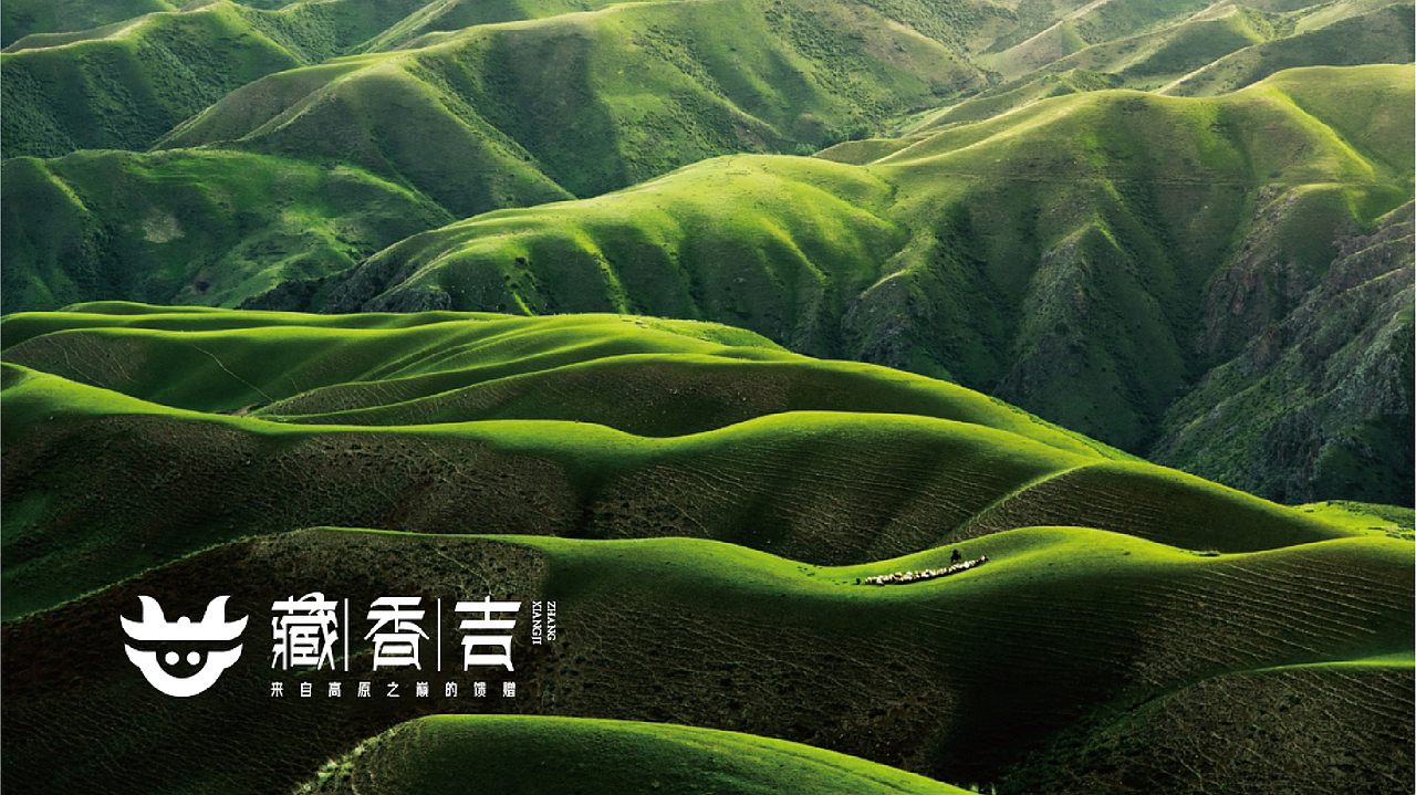 【瑞咖/品牌全案】藏香吉 | 来自高原之巅的馈赠(图ZMjQwNTY3MDgw) - Logo - 站酷设计师瑞小咖原创素材 - 站酷ZCOOL