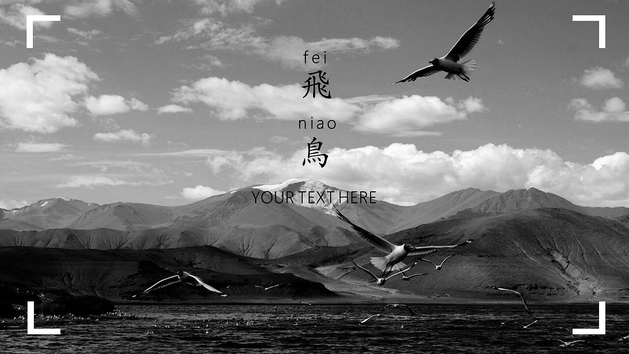 《飞鸟集》黑白配色ppt模板