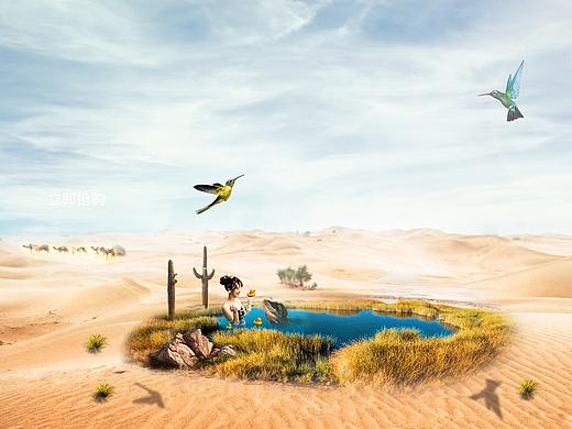 撒哈拉沙漠洗澡图