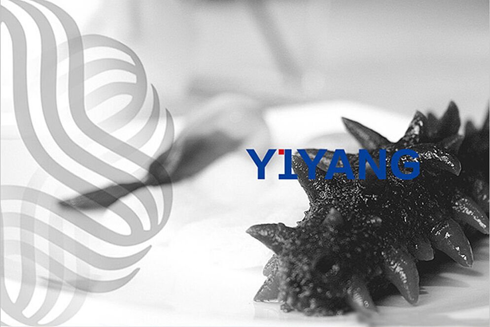 包装设计 | 一洋商行，海参（图ZNTExMjY2MDA=） - 品牌 - 站酷设计师梵事漫谈原创素材 - 站酷ZCOOL
